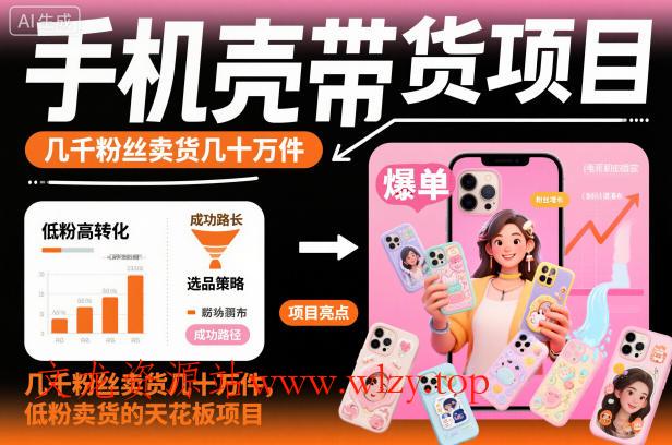 手机壳带货项目，几千粉丝卖货几十万件，短视频低粉卖货的天花板项目-文龙资源站