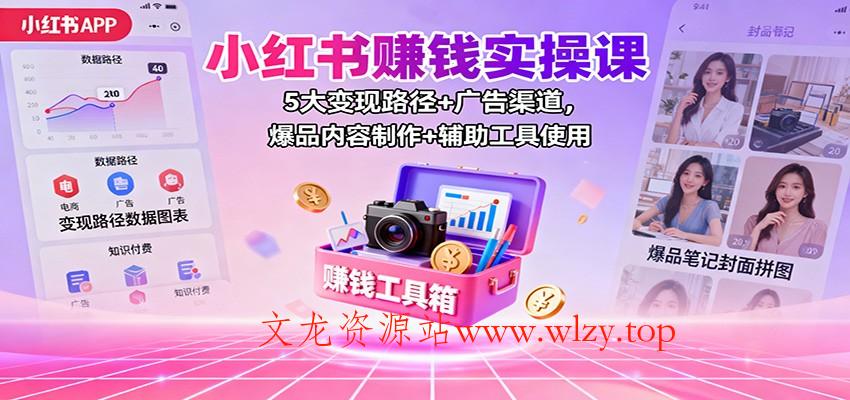 小红书赚钱实操课：5大变现路径+广告渠道，爆品内容制作+辅助工具使用-文龙资源站