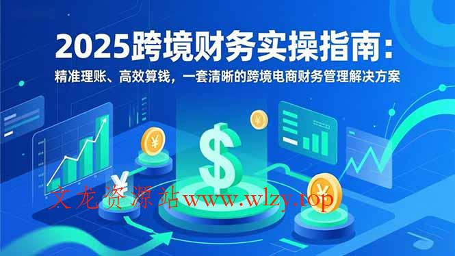 2025跨境财务实操指南：精准理账、高效算钱，一套清晰的跨境电商财务管理解决方案-文龙资源站