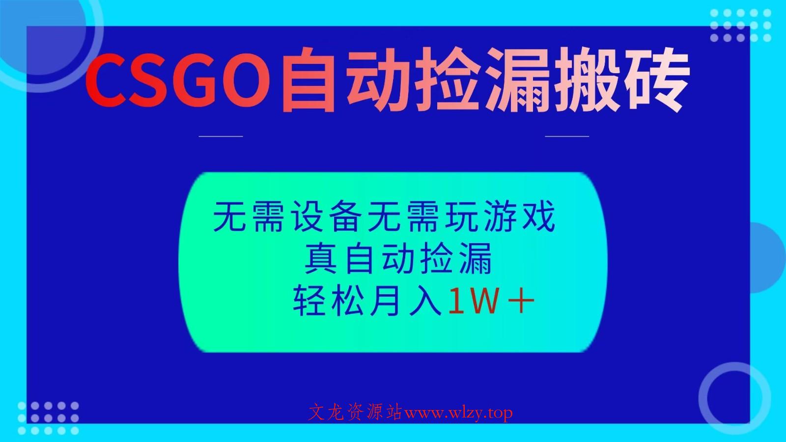 CSGO自动捡漏搬砖，当天操作当天见结果，无需了解游戏，包教包会包落地-文龙资源站