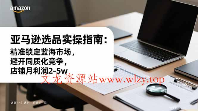 亚马逊选品实操指南：精准锁定蓝海市场，避开同质化竞争，店铺月利润2-5w-文龙资源站