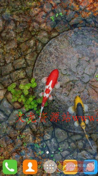 Water Garden Live Wallpaper 锦鲤3D动态壁纸2.05专业版-文龙资源站