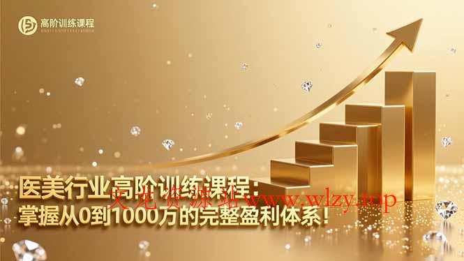 医美行业高阶训练课程:掌握从0到1000万的完整盈利体系!-文龙资源站