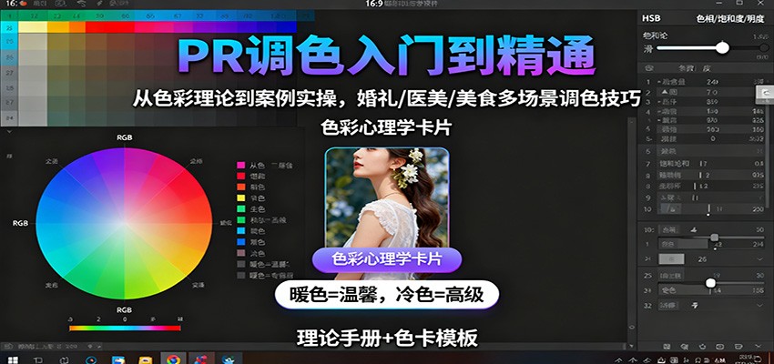 PR调色入门到精通：从色彩理论到案例实操，婚礼/医美/美食多场景调色技巧-文龙资源站