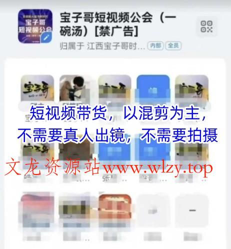 宝子哥头部团队短视频带货，以混剪为主，不需要真人出镜，不需要拍摄【更新11月】-文龙资源站