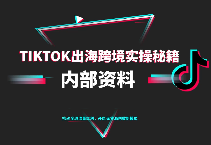 TikTok跨境电商0-1搭建运营(更新10月)-文龙资源站