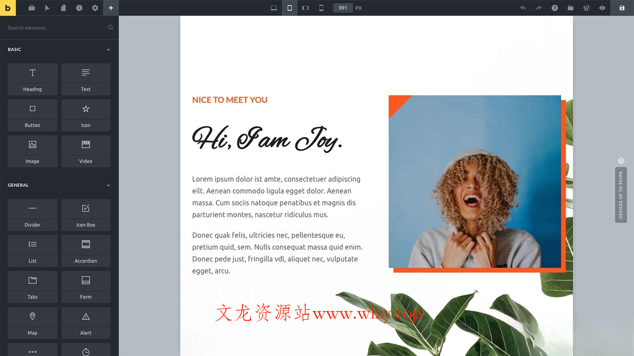 WordPress主题Bricks v1.9 破解版-文龙资源站