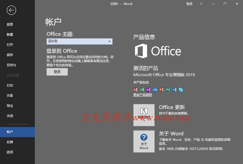 微软Office 2019 25年7月授权版-趣奇资源网-第7张图片