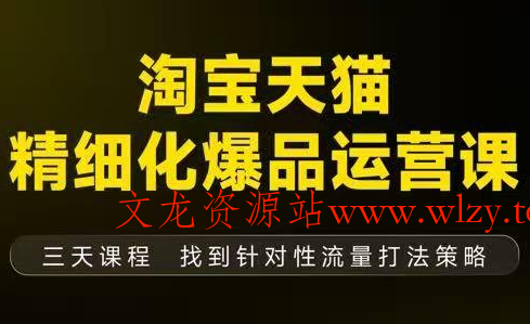 猫课子幽·淘宝天猫精细化爆品运营【音频+字幕+文档】(9月12-14杭州线下课)-文龙资源站