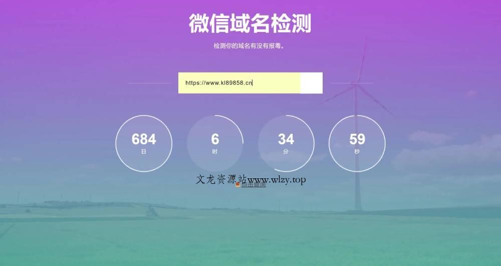 域名检测微信防封的网站源码-文龙资源站