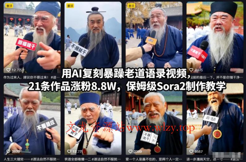 用AI复刻暴躁老道语录视频，21条作品涨粉8.8W，保姆级Sora2制作教学-文龙资源站
