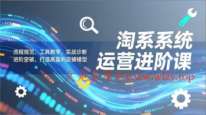 淘系系统运营进阶课2.0，流程规范、工具教学、实战诊断，进阶突破，打造高盈利店铺模型-文龙资源站