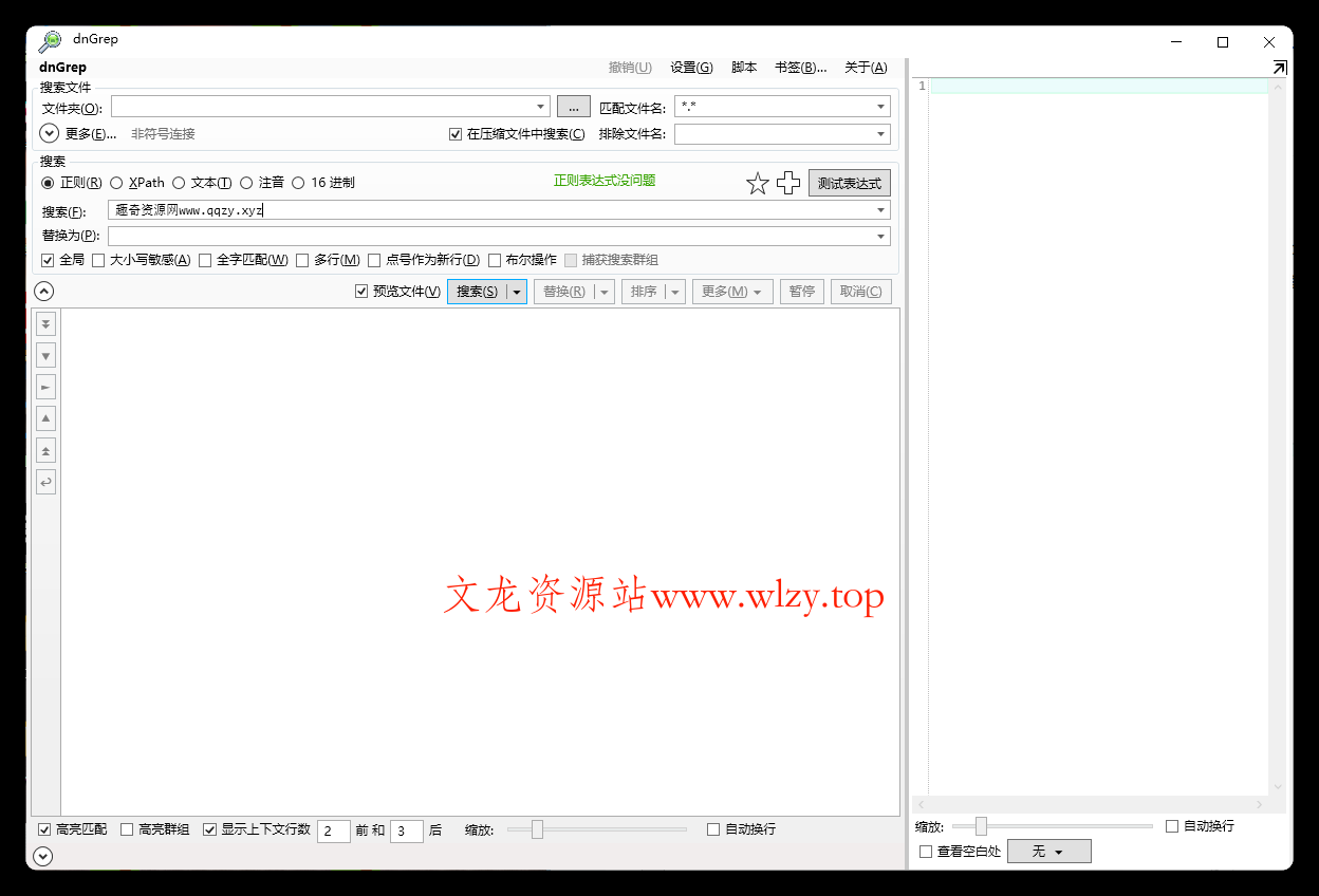 dnGrep文件搜索v4.5.41绿色版-文龙资源站