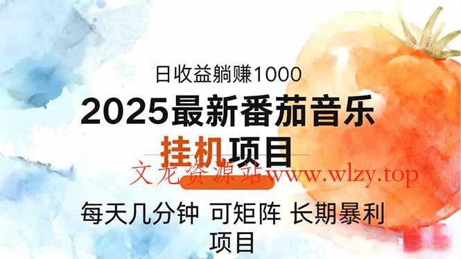 2025年最新番茄音乐人挂机项目,每天几分钟,月入1000+,可矩阵,一台…-文龙资源站