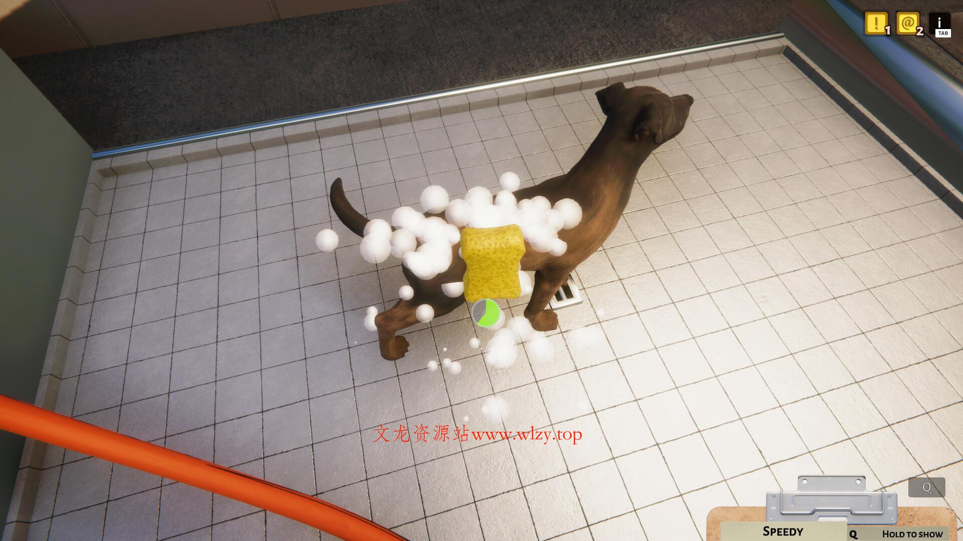 动物收容所/Animal Shelter