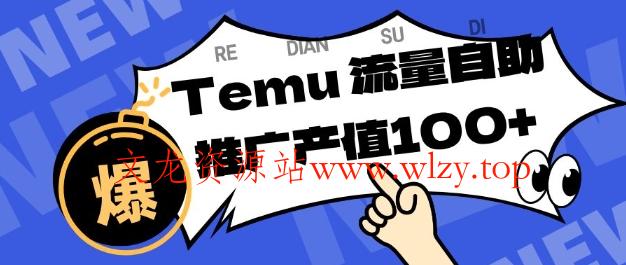 专注于Temu商家提供精准曝光浏览量，助力店铺排名提升和转化，单机日收入80-130【揭秘】-文龙资源站