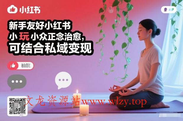 新手友好小红书小众正念治愈，玩法简单，可结合私域变现-文龙资源站