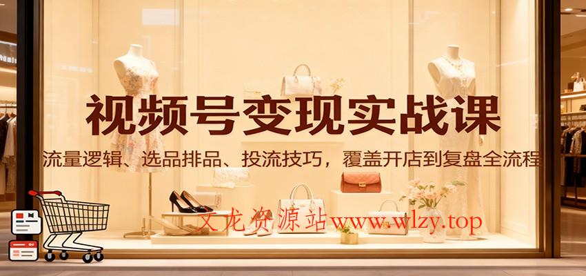 视频号变现实战课：流量逻辑、选品排品、投流技巧，覆盖开店到复盘全流程-文龙资源站