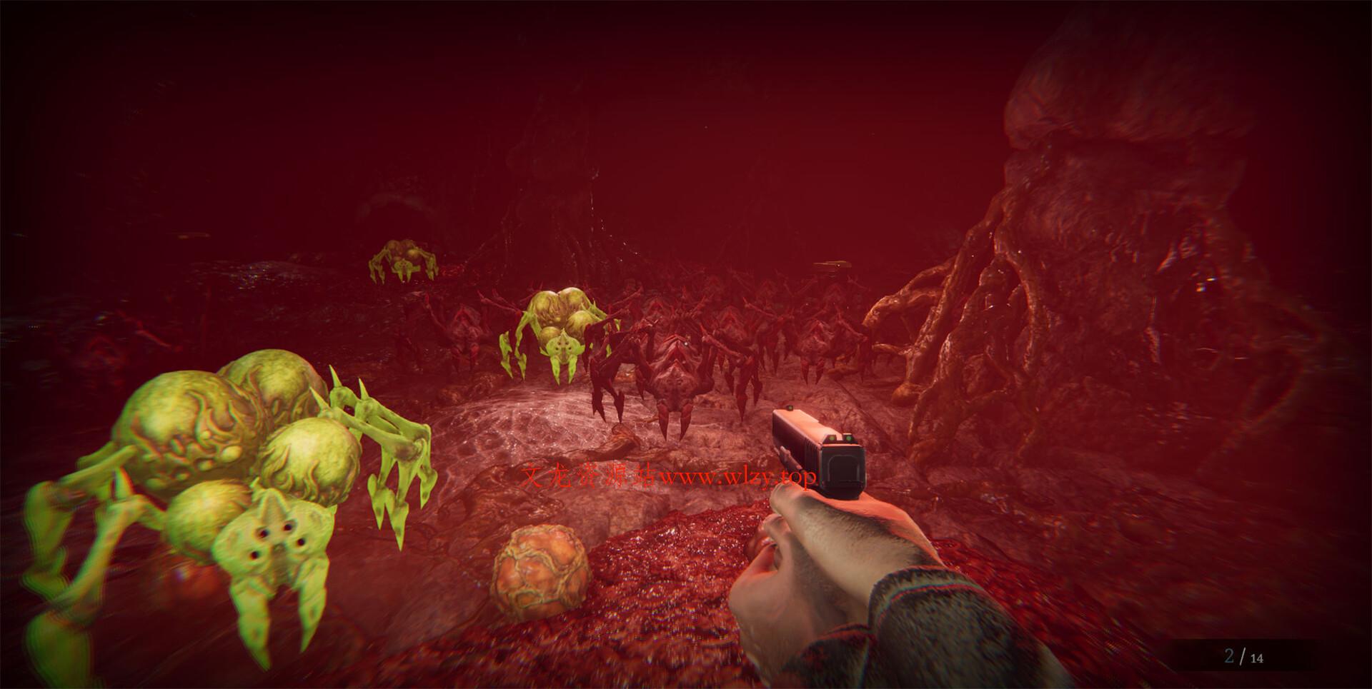 Morphos-文龙资源站