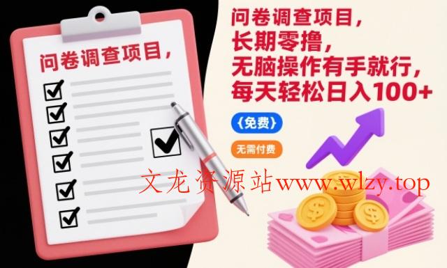 问卷调查项目，长期零撸，无脑操作有手就行，每天轻松日入100+【揭秘】-文龙资源站