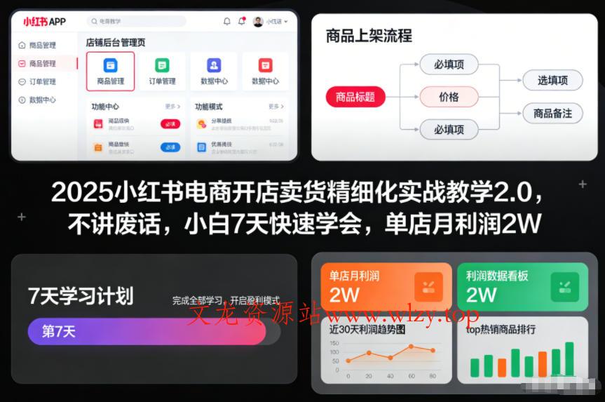 2025小红书电商开店卖货精细化实战教学2.0，不讲废话，小白7天快速学会，单店月利润2W-文龙资源站