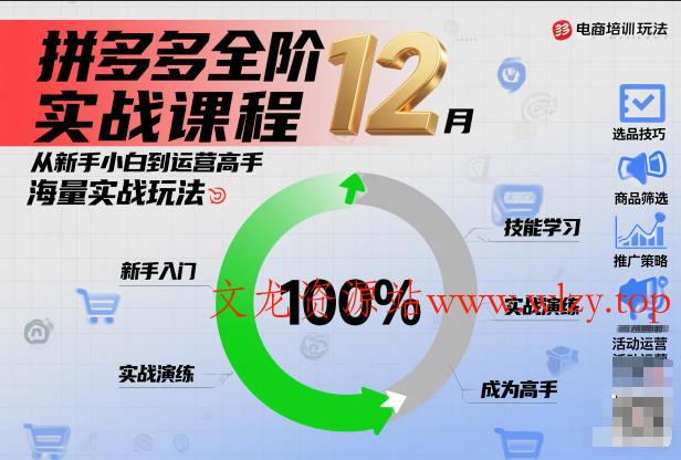 拼多多全阶实战课程12月，从新手小白到运营高手，海量实战玩法-文龙资源站