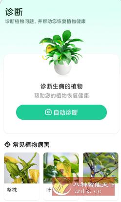 Plant Parent 植物养护v1.101高级版-文龙资源站