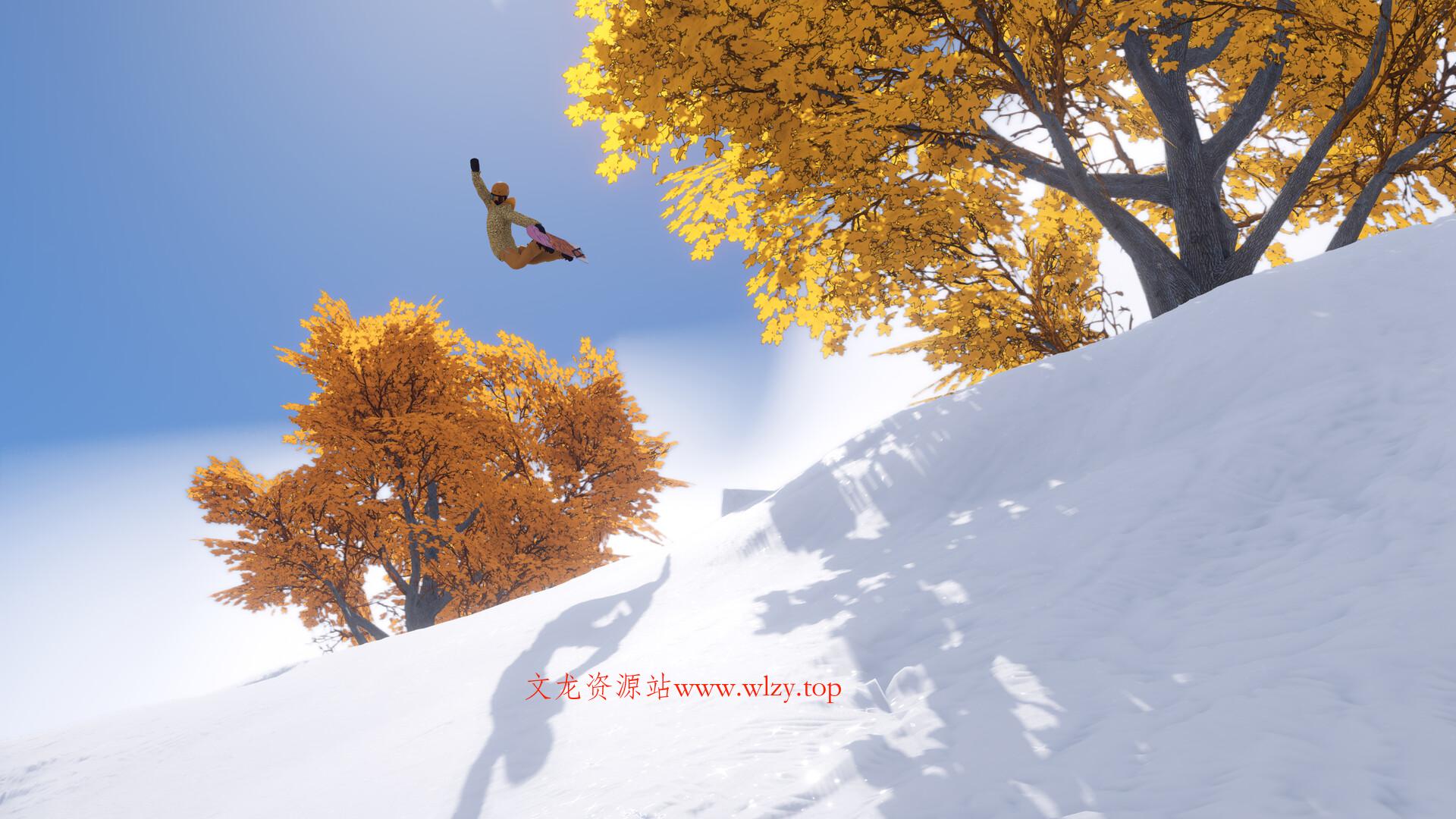 单板滑雪/Shredders