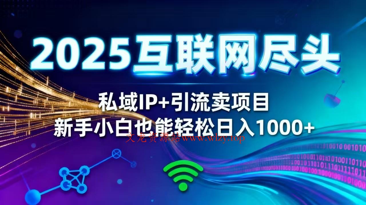 2025网创尽头王炸项目!私域 IP + 精准引流,新手小白在家躺赚日入 1000+-文龙资源站