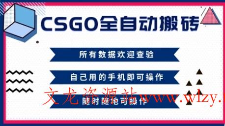 CSGO全自动搬砖,年底钱回家好项目,当天可拿到结果,新手小白轻松月入1W+【揭秘】-文龙资源站
