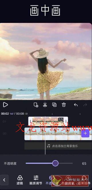 VivaCut视频编辑 v4.4.1专业版-文龙资源站
