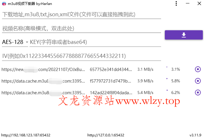 M3u8视频下载M3u8Downloader_H v4.0.1绿色版-文龙资源站
