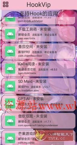 HookVip 软件vip解锁模块4.1.4-文龙资源站