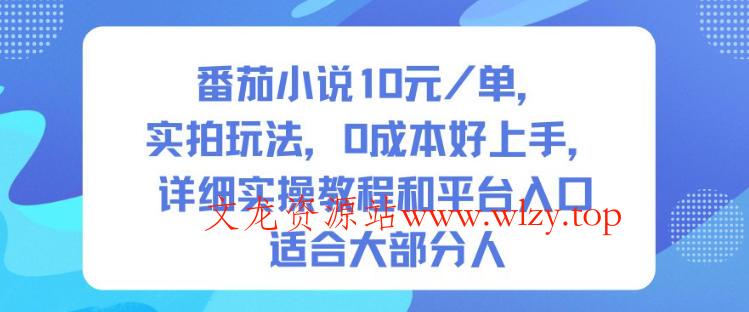 番茄小说10米每单,实拍玩法,0成本好上手,详细实操教程和平台入口适合大部分人