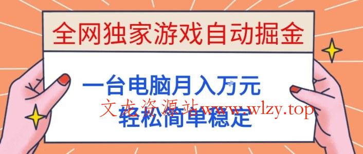 全网独家游戏自动掘金，一台电脑月入1W+，轻松简单稳定，适合新手小白【揭秘】-文龙资源站