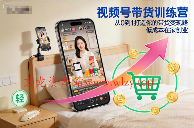 视频号带货训练营,从0到1打造你的带货变现路,低成本在家创业