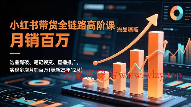小红书带货全链路高阶课，选品爆破、笔记裂变、直播推广，实现多店月销百万(更新25年12月-文龙资源站