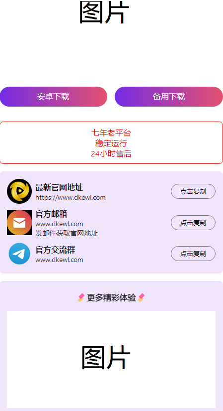 2024首发最火的软件宣传单页源码-文龙资源站