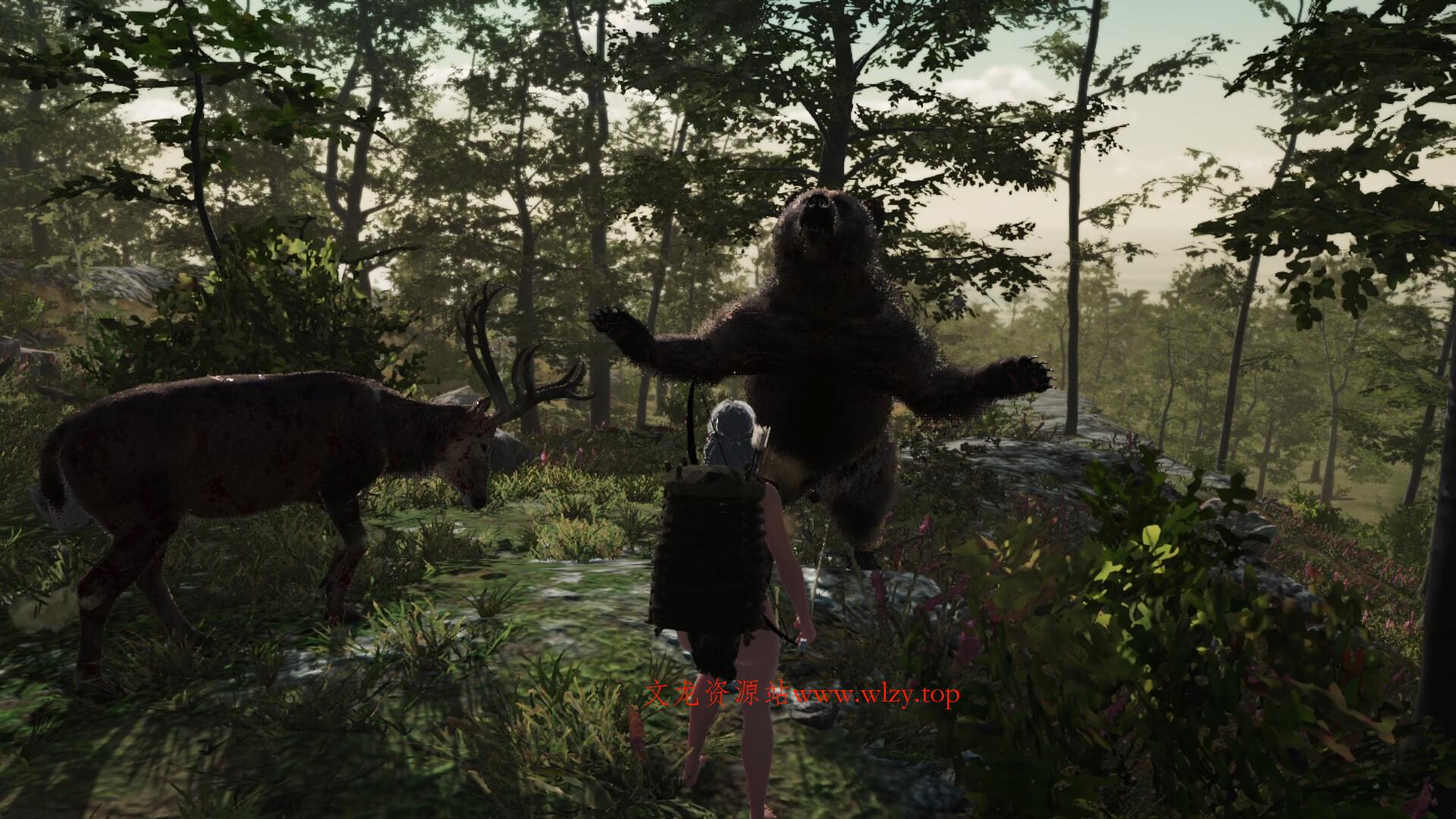 实境求生/Survisland-文龙资源站