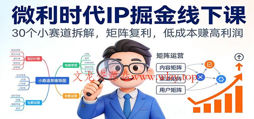 微利时代IP掘金线下课：30个小赛道拆解，矩阵复利，低成本赚高利润-文龙资源站