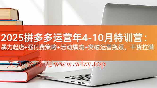 2025拼多多运营年4-10月特训营：暴力起店+强付费策略+活动爆流+突破运营瓶颈，干货拉满-文龙资源站