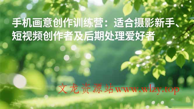 手机摄影之画意创作训练营：适合摄影新手、短视频创作者及后期处理爱好者-文龙资源站