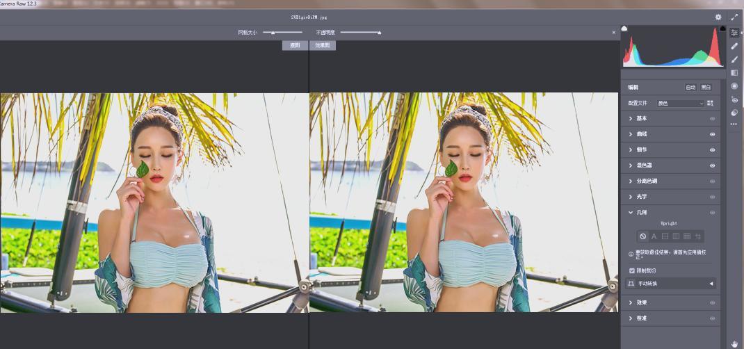 Adobe Camera Raw(RAW处理工具)v18.0.0中文版-文龙资源站