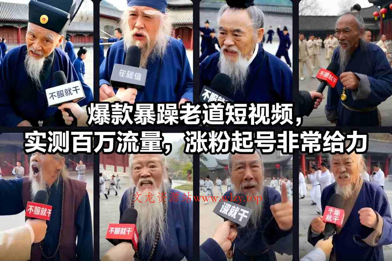 爆款暴躁老道短视频，实测百万流量，涨粉起号非常给力-文龙资源站