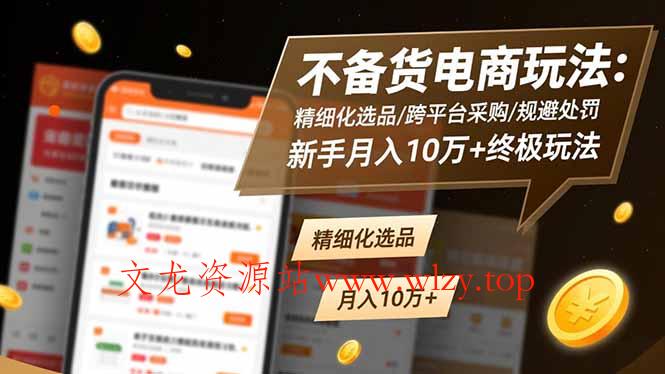 不备货电商玩法：精细化选品/跨平台采购/规避处罚，新手月入10万+终极玩法-文龙资源站