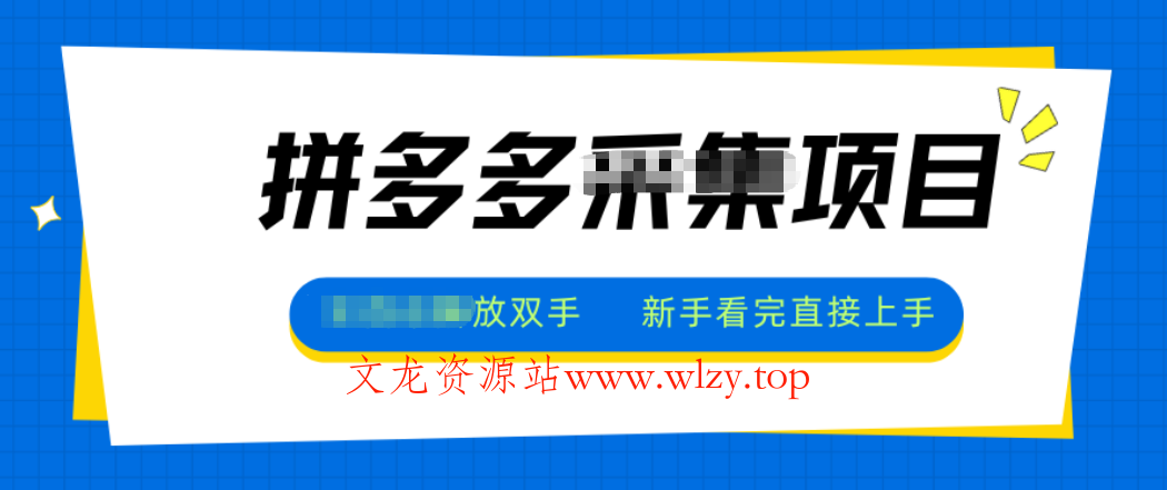 拼多多电商采集，一小时50+，操作简单，零投资-文龙资源站