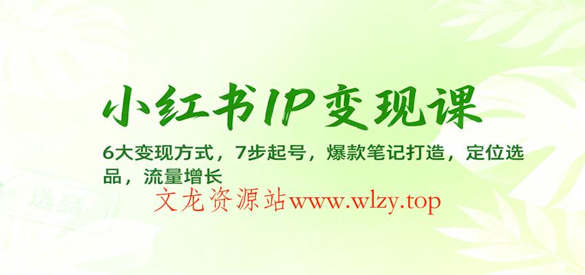 小红书IP变现课：6大变现方式，7步起号，爆款笔记打造，定位选品，流量增长-文龙资源站