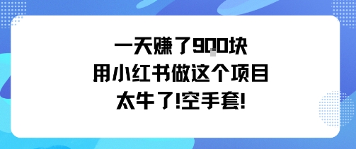 一天挣了9张用小红书做这个项目太牛了,空手套-文龙资源站
