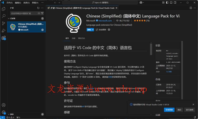 Visual Studio Code 1.107.18627中文绿色版-文龙资源站