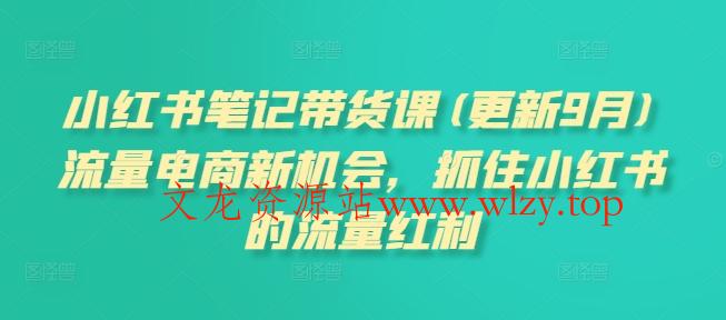 小红书笔记带货课(更新25年12月)流量电商新机会，抓住小红书的流量红利-文龙资源站